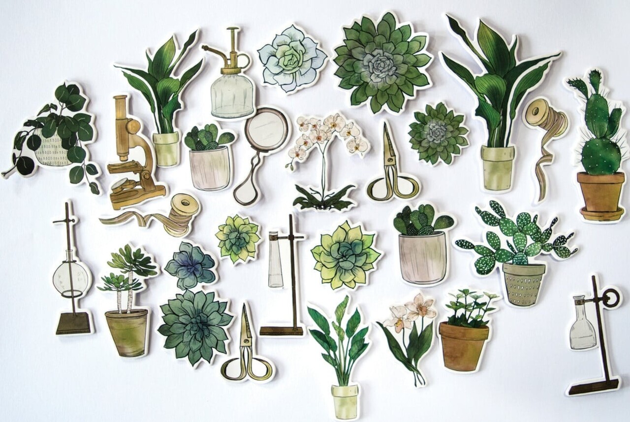 Craft Consortium Botany Boutique Chipboard Ephemera (CCEPH011) Craft Consortium Botany Boutique Chipboard Ephemera (CCEPH011)
