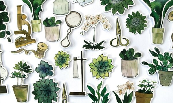 Craft Consortium Botany Boutique Chipboard Ephemera (CCEPH011) Craft Consortium Botany Boutique Chipboard Ephemera (CCEPH011)