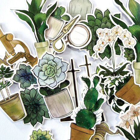 Craft Consortium Botany Boutique Chipboard Ephemera (CCEPH011) Craft Consortium Botany Boutique Chipboard Ephemera (CCEPH011)