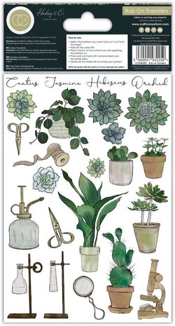Craft Consortium Botany Boutique Rub-on Transfers (CCRUBT007) Craft Consortium Botany Boutique Rub-on Transfers (CCRUBT007)