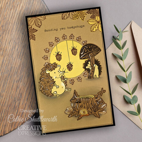 Creative Expressions Designs by Dora A5 Clear Stamp Hedgehugs (CEC1099)