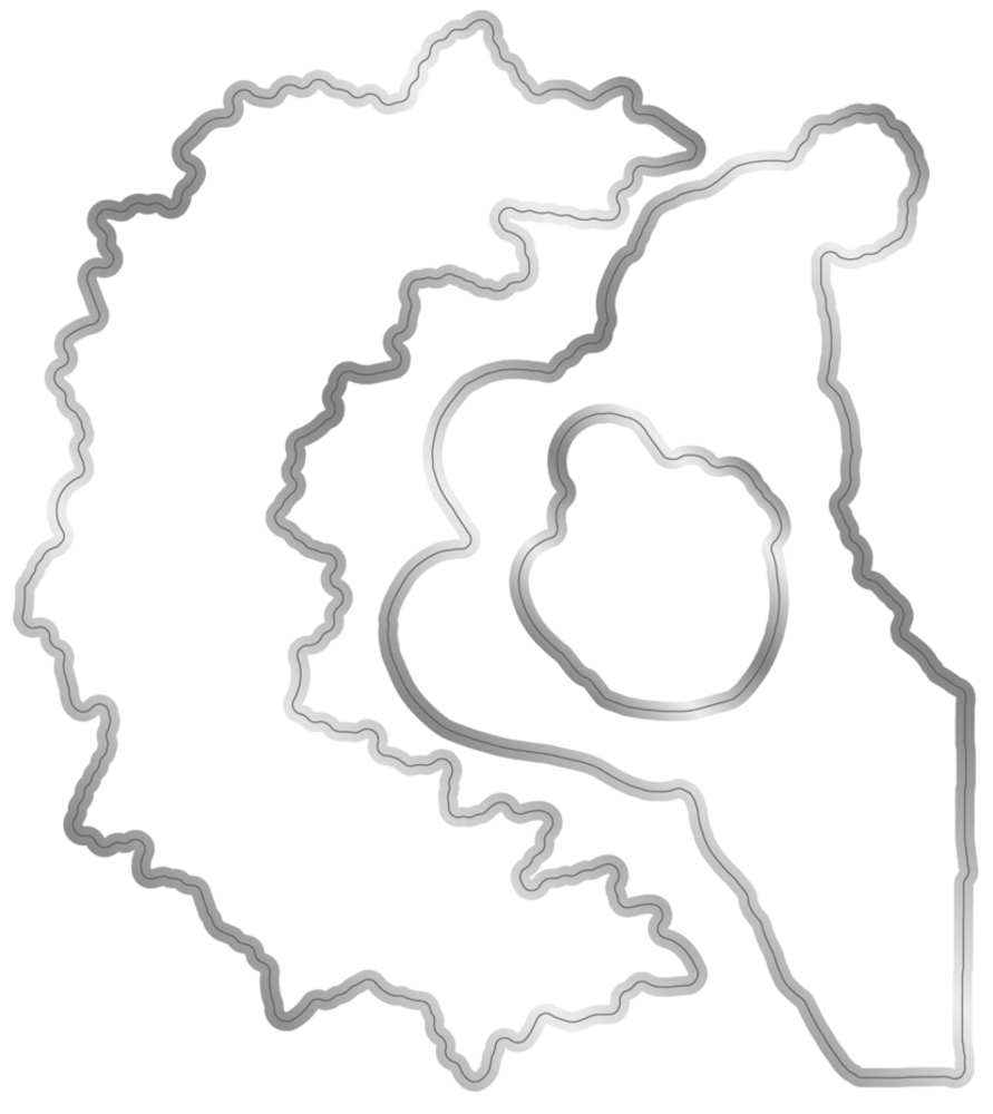 Sheena Through the Window Stamp & Die Christmas Window (SD-TW-STD-CHRWI)