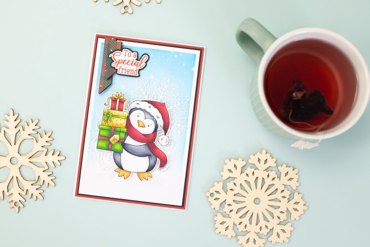 Crafter's Companion Special Penguin Clear Stamps (CC-STP-SPE)