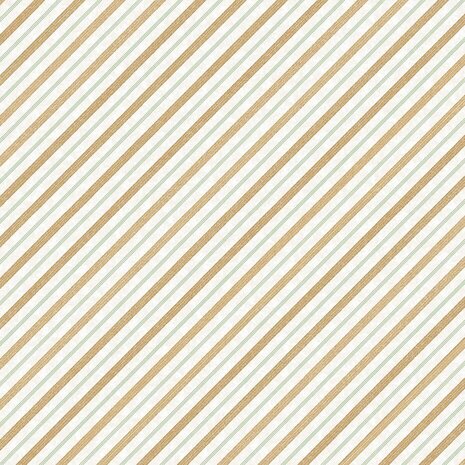 Ciao Bella Papercrafting The Nutcracker 6x6 Inch Vellum Paper (CBVQ019)