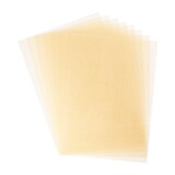 Sizzix Metallic Shrink Plastic 8.25x11.75 Inch Gold (666076)