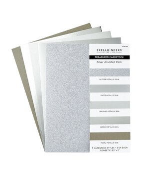 Spellbinders Treasured Cardstock 8.5x11 Inch Silver Assortment (SCSP-002)