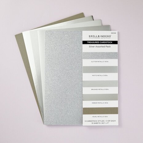Spellbinders Treasured Cardstock 8.5x11 Inch Silver Assortment (SCSP-002)