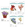 Spellbinders Nature's Botanical Garden Die Bundle (BD-0865) Spellbinders Nature's Botanical Garden Die Bundle (BD-0865)
