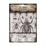 Idea-ology Tim Holtz Halloween Collage Paper (TH94393)
