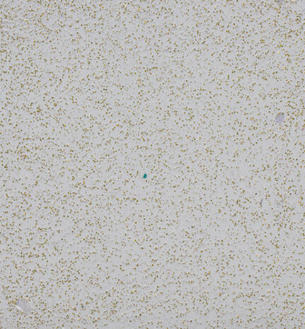 WOW! Pastiche Gliter Embossing Powder (WS415X)