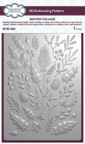 Creative Expressions Winter Foliage 3D Embossing Folder (EF3D-084) Creative Expressions Winter Foliage 3D Embossing Folder (EF3D-084)