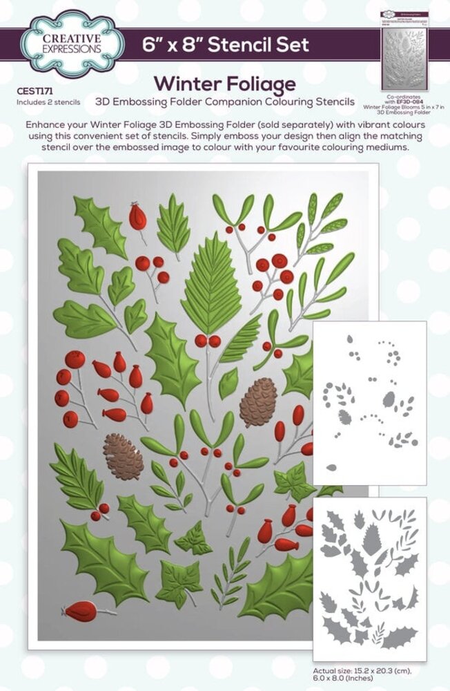 Creative Expressions Winter Foliage Companion Colouring Stencil (CEST171) Creative Expressions Winter Foliage Companion Colouring Stencil (CEST171)