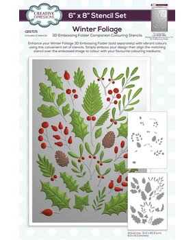 Creative Expressions Winter Foliage Companion Colouring Stencil (CEST171) Creative Expressions Winter Foliage Companion Colouring Stencil (CEST171)