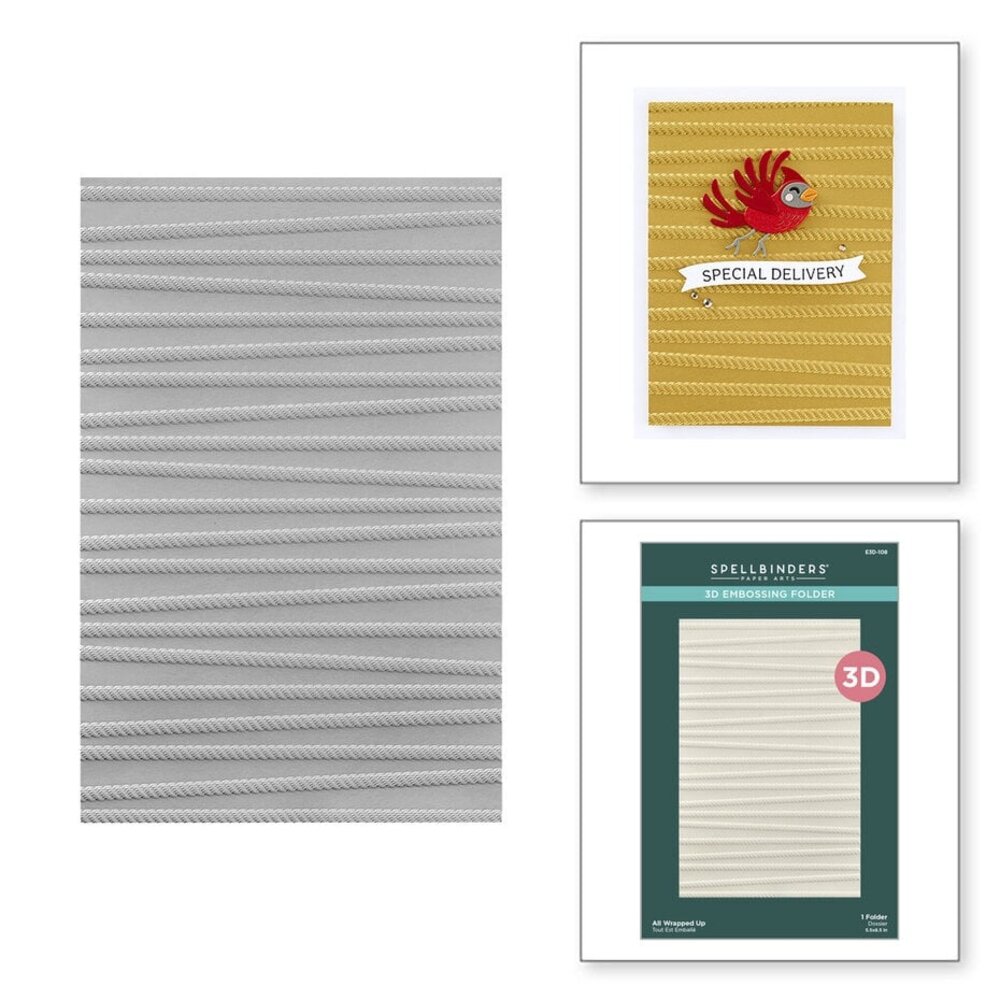 Spellbinders All Wrapped Up 3D Embossing Folder (E3D-108) Spellbinders All Wrapped Up 3D Embossing Folder (E3D-108)