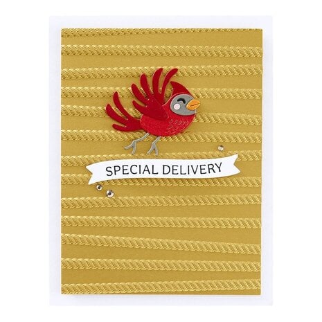 Spellbinders All Wrapped Up 3D Embossing Folder (E3D-108) Spellbinders All Wrapped Up 3D Embossing Folder (E3D-108)