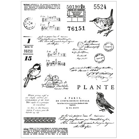 Sizzix Clear Stamps with Framelits Bird Song (666704) Sizzix Clear Stamps with Framelits Bird Song (666704)