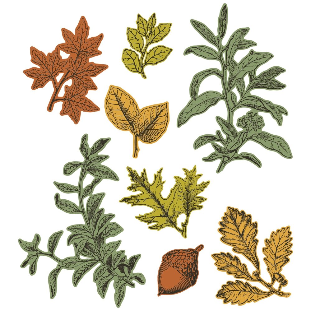 Sizzix Clear Stamps with Framelits Forever Leaves (666706) Sizzix Clear Stamps with Framelits Forever Leaves (666706)