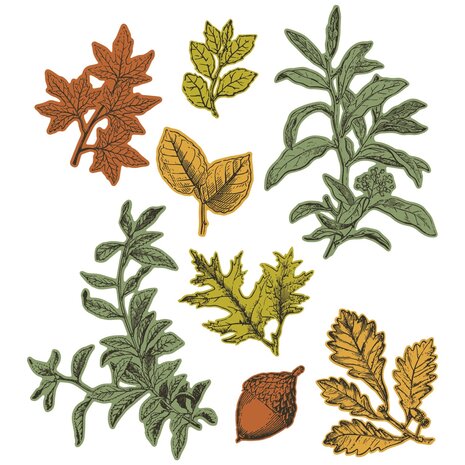 Sizzix Clear Stamps with Framelits Forever Leaves (666706) Sizzix Clear Stamps with Framelits Forever Leaves (666706)