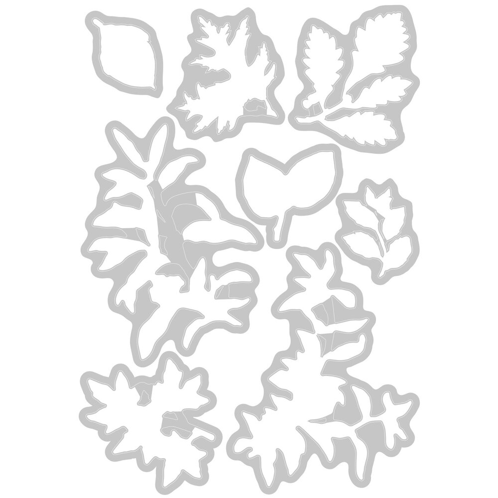 Sizzix Clear Stamps with Framelits Forever Leaves (666706) Sizzix Clear Stamps with Framelits Forever Leaves (666706)