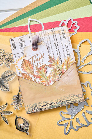 Sizzix Clear Stamps with Framelits Forever Leaves (666706) Sizzix Clear Stamps with Framelits Forever Leaves (666706)