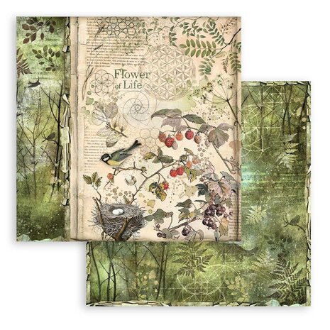 Stamperia Forest 8x8 Inch Paper Pack (SBBS06)