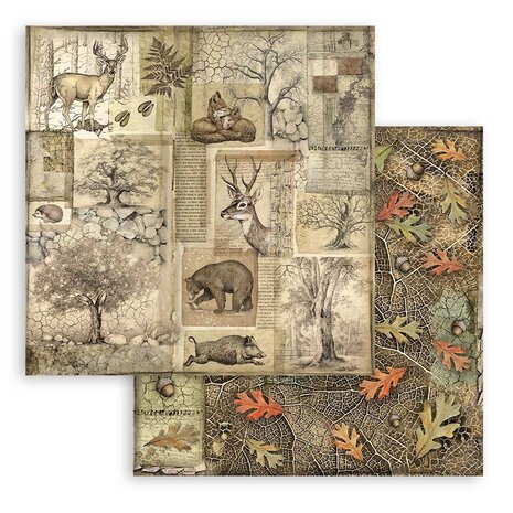 Stamperia Forest 8x8 Inch Paper Pack (SBBS06)