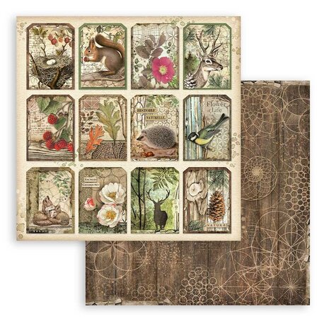 Stamperia Forest 8x8 Inch Paper Pack (SBBS06)