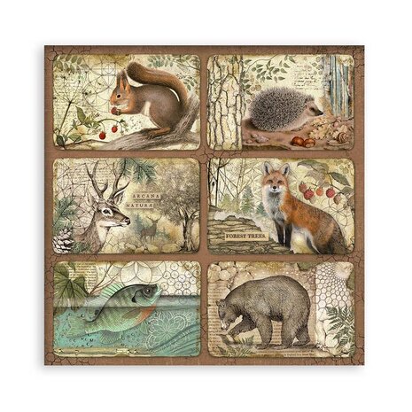 Stamperia Forest 12x12 Inch Single Face Paper Pack (SBBXLBG01) Stamperia Forest 12x12 Inch Single Face Paper Pack (SBBXLBG01)