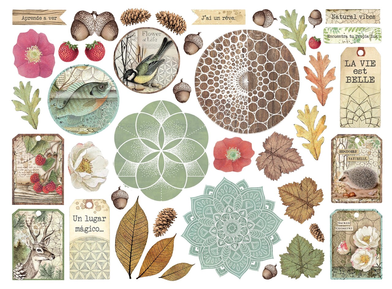 Stamperia Forest Die Cuts (DFLDC105) Stamperia Forest Die Cuts (DFLDC105)
