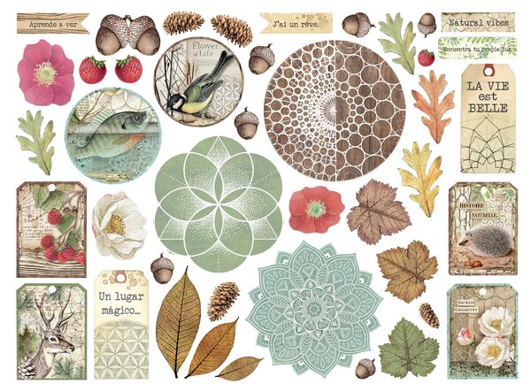 Stamperia Forest Die Cuts (DFLDC105) Stamperia Forest Die Cuts (DFLDC105)