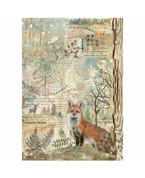 Stamperia Forest A4 Rice Paper Fox (DFSA4951)