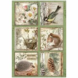 Stamperia Forest A4 Rice Paper 6 Cards (DFSA4952)