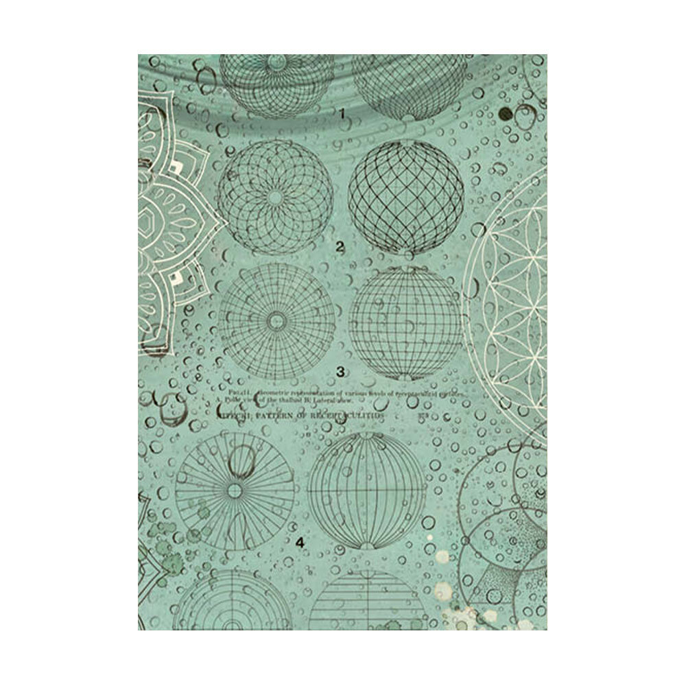 Stamperia Forest A6 Rice Paper Backgrounds (DFSAK6030)