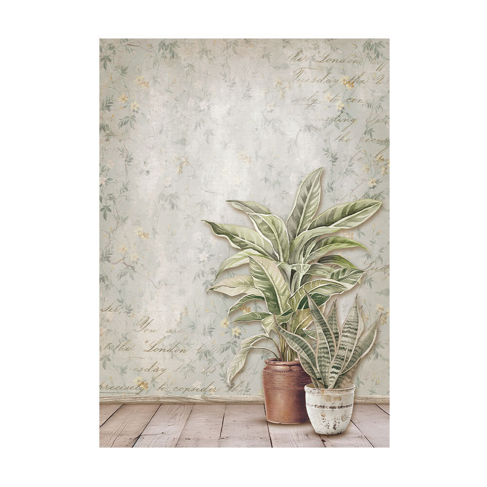 Stamperia Golden Harmony A6 Rice Paper Backgrounds (DFSAK6029) Stamperia Golden Harmony A6 Rice Paper Backgrounds (DFSAK6029)