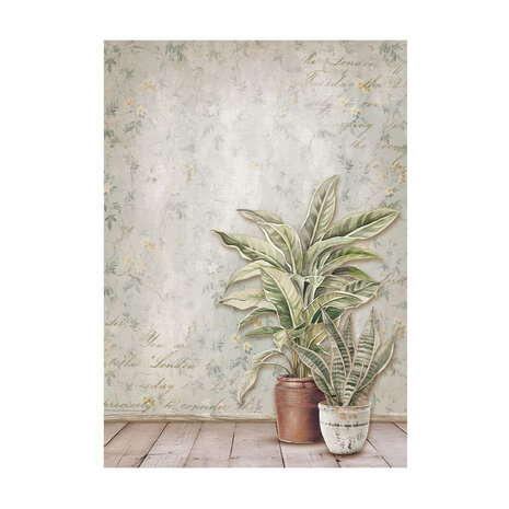 Stamperia Golden Harmony A6 Rice Paper Backgrounds (DFSAK6029) Stamperia Golden Harmony A6 Rice Paper Backgrounds (DFSAK6029)