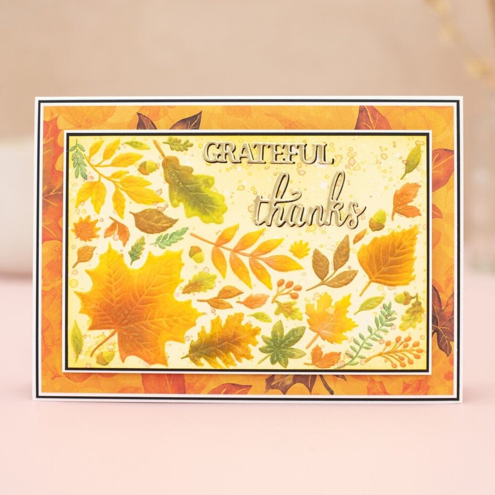Crafter's Companion Autumn Leaves 3D Embossing Folder (CC-3D-EF4-AULE) Crafter's Companion Autumn Leaves 3D Embossing Folder (CC-3D-EF4-AULE)