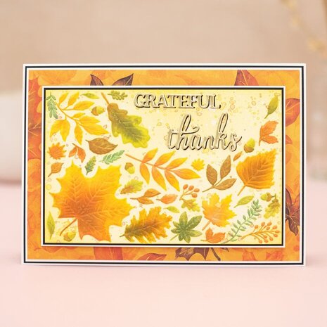 Crafter's Companion Autumn Leaves 3D Embossing Folder (CC-3D-EF4-AULE) Crafter's Companion Autumn Leaves 3D Embossing Folder (CC-3D-EF4-AULE)