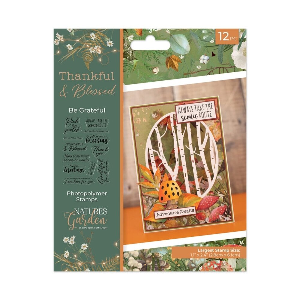 Crafter's Companion Thankful & Blessed Clear Stamp Be Grateful (NG-TAB-STP-BGRA) Crafter's Companion Thankful & Blessed Clear Stamp Be Grateful (NG-TAB-STP-BGRA)