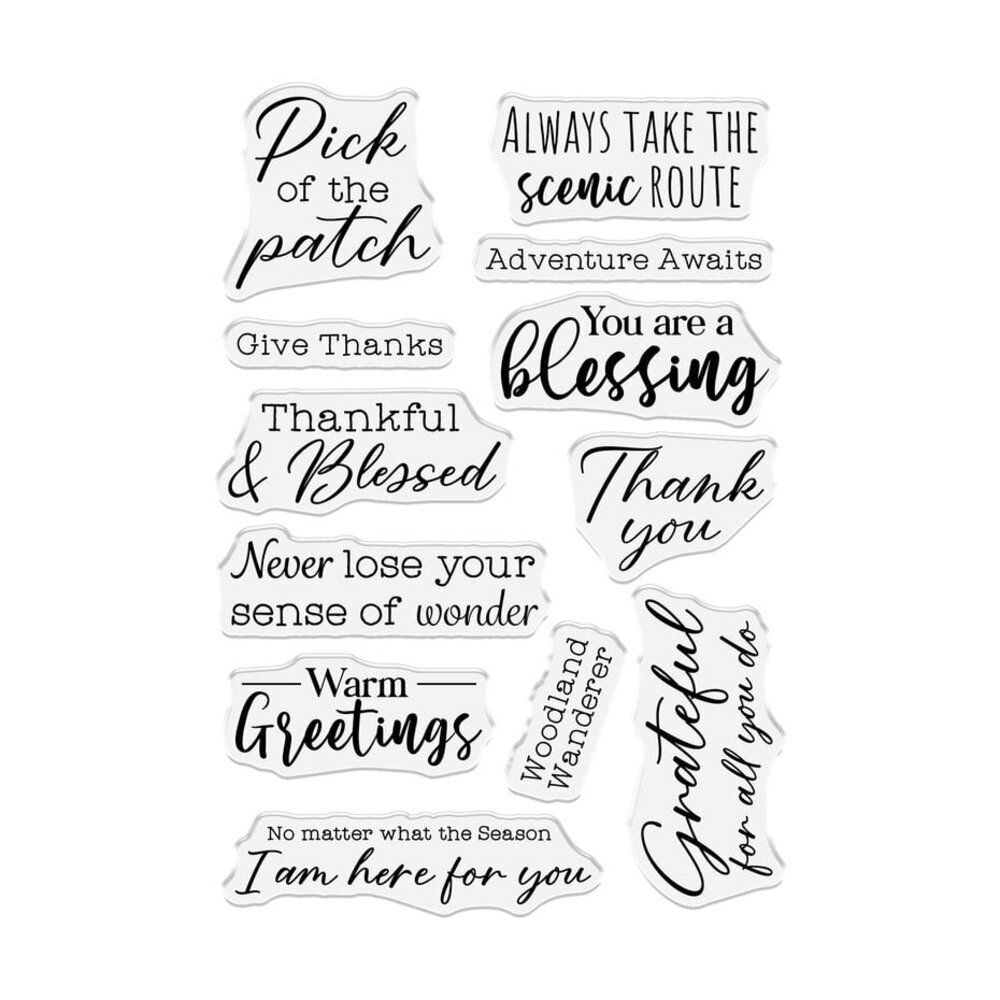 Crafter's Companion Thankful & Blessed Clear Stamp Be Grateful (NG-TAB-STP-BGRA) Crafter's Companion Thankful & Blessed Clear Stamp Be Grateful (NG-TAB-STP-BGRA)