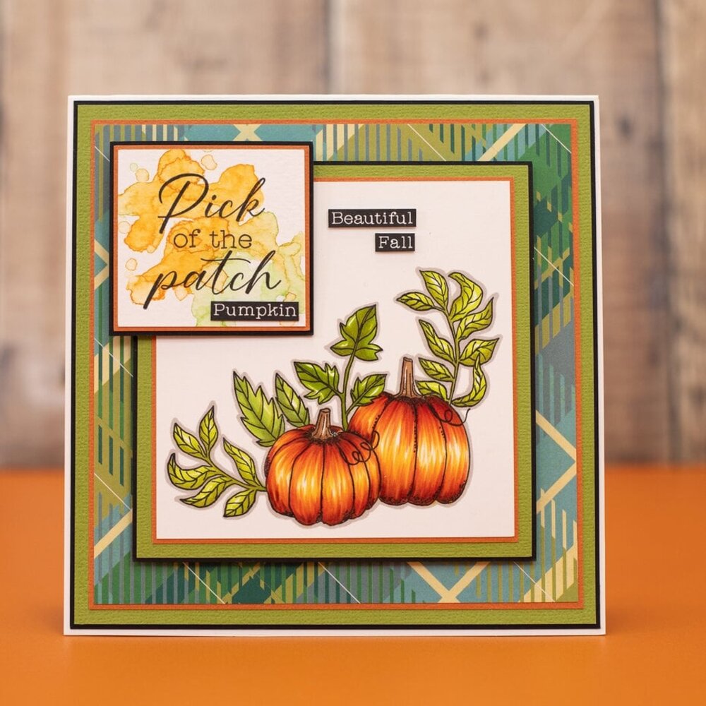 Crafter's Companion Thankful & Blessed Clear Stamp Be Grateful (NG-TAB-STP-BGRA) Crafter's Companion Thankful & Blessed Clear Stamp Be Grateful (NG-TAB-STP-BGRA)