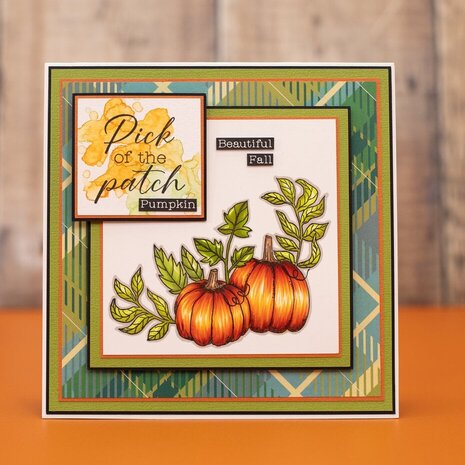Crafter's Companion Thankful & Blessed Clear Stamp Be Grateful (NG-TAB-STP-BGRA) Crafter's Companion Thankful & Blessed Clear Stamp Be Grateful (NG-TAB-STP-BGRA)
