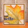 Crafter's Companion Thankful & Blessed Stamp & Die Hello (NG-TAB-STD-HELL) Crafter's Companion Thankful & Blessed Stamp & Die Hello (NG-TAB-STD-HELL)