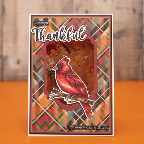 Crafter's Companion Thankful & Blessed Stamp & Die Thankful (NG-TAB-STD-THA) Crafter's Companion Thankful & Blessed Stamp & Die Thankful (NG-TAB-STD-THA)