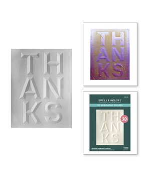 Spellbinders Beveled Sentiments Cardfronts Thanks 3D Embossing Folder (E3D-091)