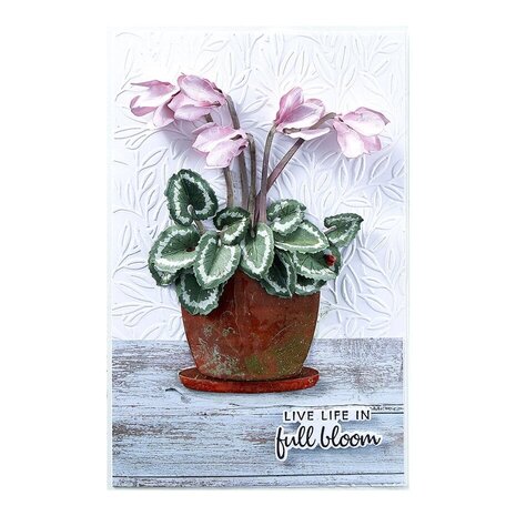 Spellbinders Winter's Grace Garden Cyclamen Dies (S4-1361)