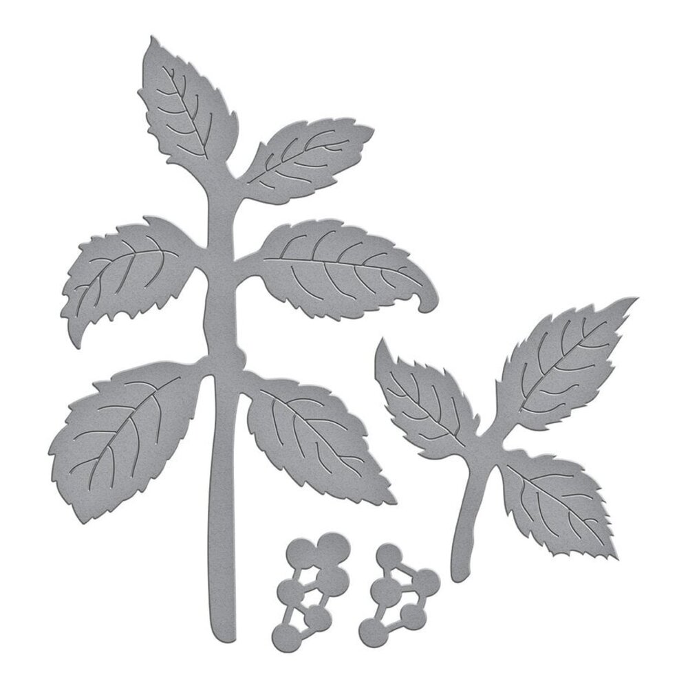 Spellbinders Winter's Grace Garden Black Alder Dies (S4-1362) Spellbinders Winter's Grace Garden Black Alder Dies (S4-1362)