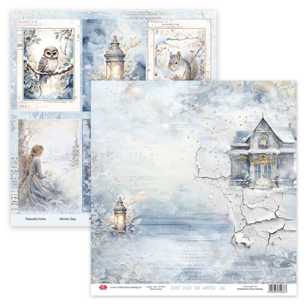 Craft & You Paint Over The Winter 12x12 Inch Paper Pack (6pcs) (CYD-CPS-PT30-6)
