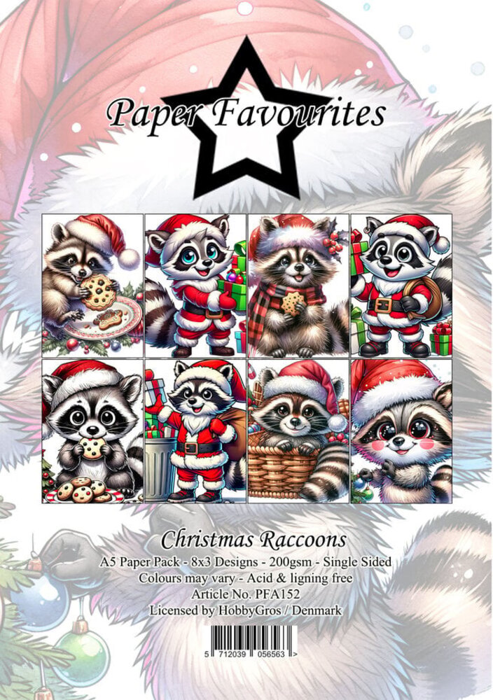 Paper Favourites Christmas Raccoons A5 Paper Pack (PFA152) Paper Favourites Christmas Raccoons A5 Paper Pack (PFA152)