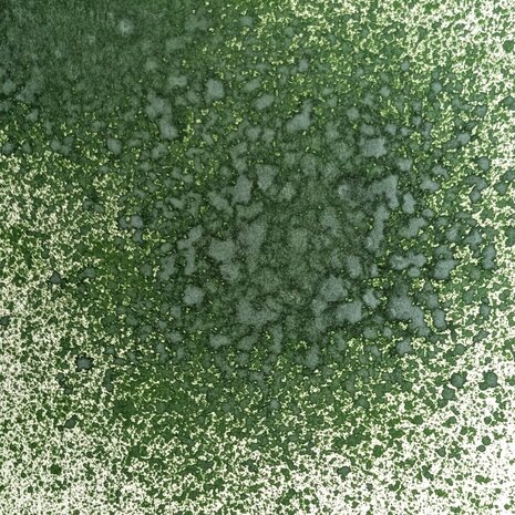 Pink Ink Designs Airless Chalk Mister Fern Green (PICMFERN) Pink Ink Designs Airless Chalk Mister Fern Green (PICMFERN)
