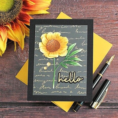 Spellbinders Smooth Discs Sequins Satin Gold (SCS-364) Spellbinders Smooth Discs Sequins Satin Gold (SCS-364)